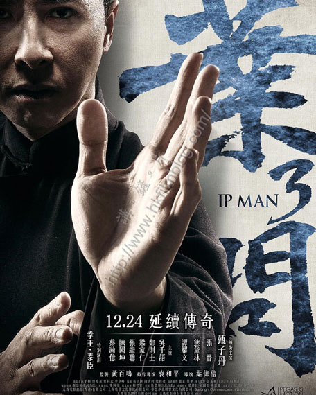 IpMan31